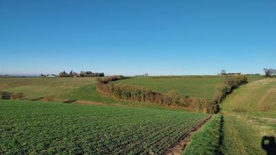 17/12/2023 La gaudaine