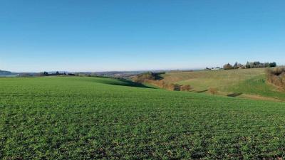 17/12/2023 La gaudaine