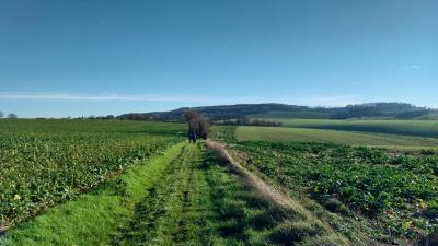 17/12/2023 La gaudaine