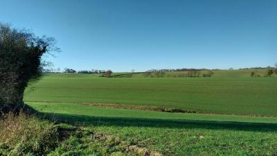 17/12/2023 La gaudaine