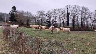 14/01/2024 Rémalard