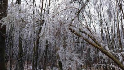 14/01/2024 Rémalard