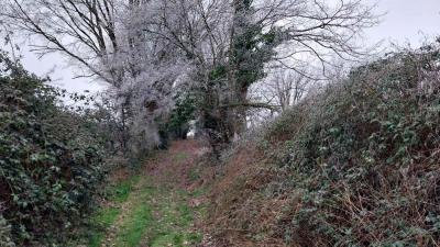 14/01/2024 Rémalard