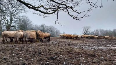 14/01/2024 Rémalard