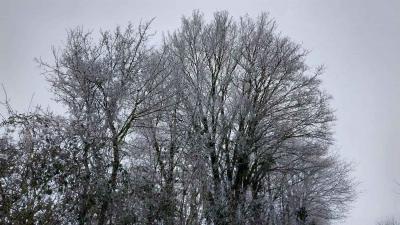 14/01/2024 Rémalard