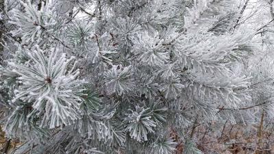 14/01/2024 Rémalard