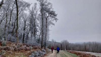 14/01/2024 Rémalard