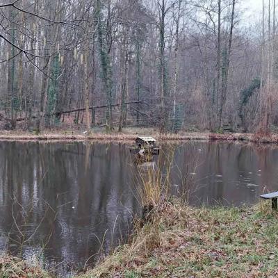 01-02-2024 Le Theil - La Ferté Bernard