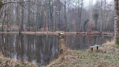 01-02-2024 Le Theil - La Ferté Bernard