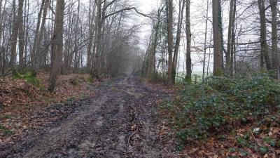 01-02-2024 Le Theil - La Ferté Bernard