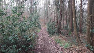 01-02-2024 Le Theil - La Ferté Bernard