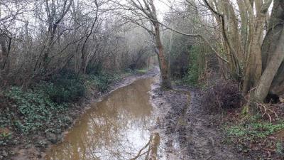 01-02-2024 Le Theil - La Ferté Bernard