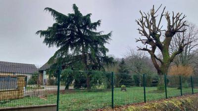 01-02-2024 Le Theil - La Ferté Bernard