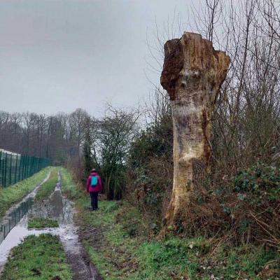 01-02-2024 Le Theil - La Ferté Bernard