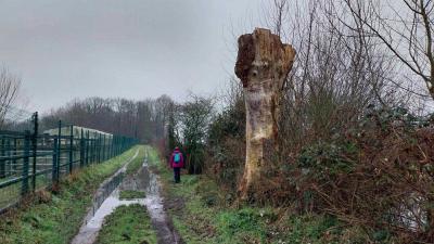 01-02-2024 Le Theil - La Ferté Bernard