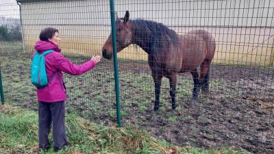 01-02-2024 Le Theil - La Ferté Bernard