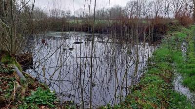 01-02-2024 Le Theil - La Ferté Bernard