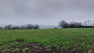 01-02-2024 Le Theil - La Ferté Bernard