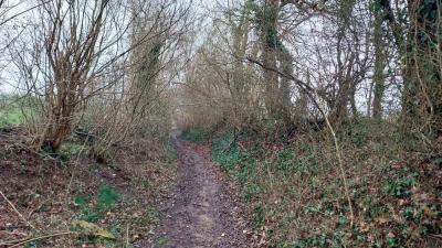 01-02-2024 Le Theil - La Ferté Bernard