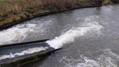 01-02-2024 Le Theil - La Ferté Bernard