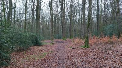 04/02/2024 L'étoile du Perche