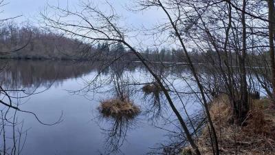 04/02/2024 L'étoile du Perche