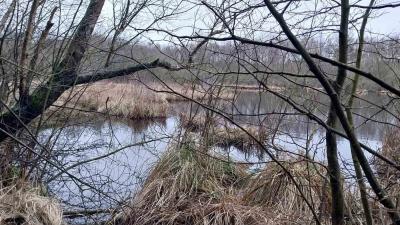 04/02/2024 L'étoile du Perche