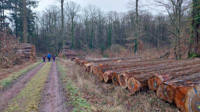 04/02/2024 L'étoile du Perche