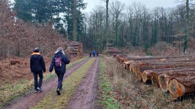 04/02/2024 L'étoile du Perche