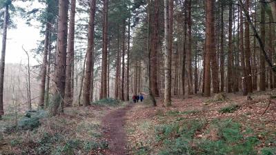 04/02/2024 L'étoile du Perche