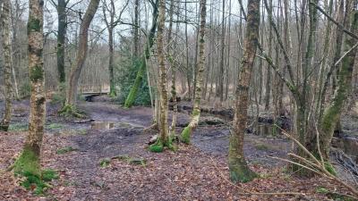 04/02/2024 L'étoile du Perche