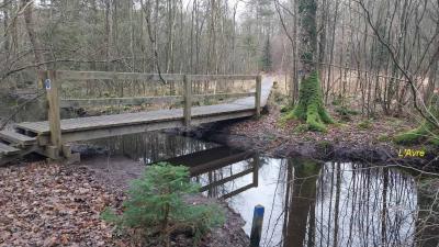 04/02/2024 L'étoile du Perche