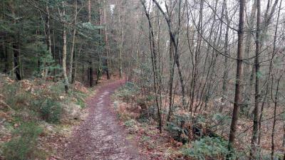 04/02/2024 L'étoile du Perche