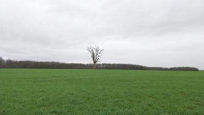 18/02/2024 Brezolles