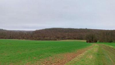 18/02/2024 Brezolles