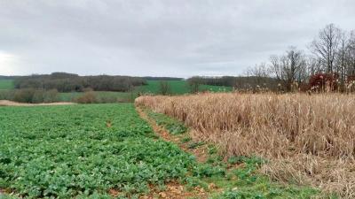 18/02/2024 Brezolles