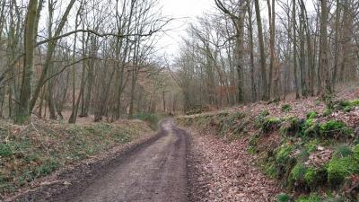 18/02/2024 Brezolles