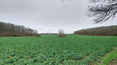 18/02/2024 Brezolles