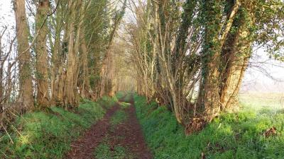 03/03/2024 St Germain de la Coudre