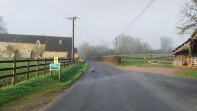 03/03/2024 St Germain de la Coudre