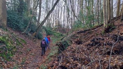 03/03/2024 St Germain de la Coudre