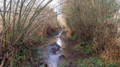 03/03/2024 St Germain de la Coudre