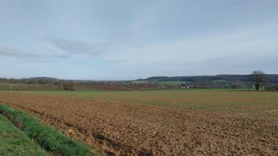 03/03/2024 St Germain de la Coudre