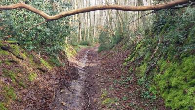 03/03/2024 St Germain de la Coudre