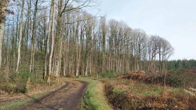 03/03/2024 St Germain de la Coudre