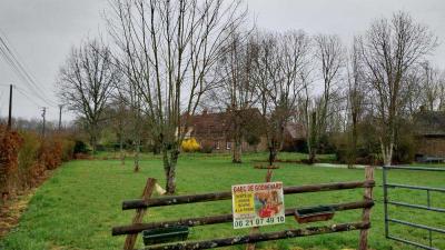 17/03/2024 Marchainville