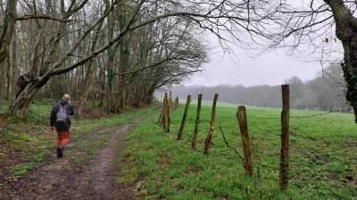 17/03/2024 Marchainville