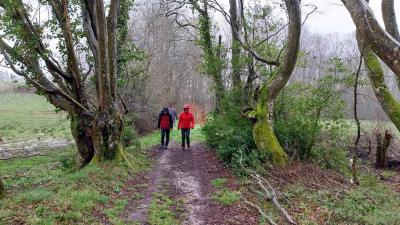 17/03/2024 Marchainville