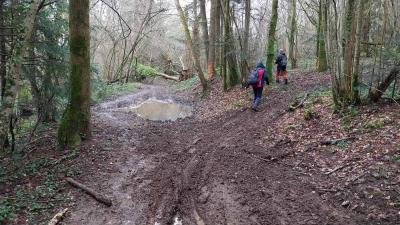 17/03/2024 Marchainville