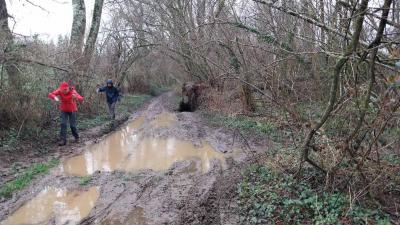 17/03/2024 Marchainville